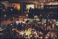 Overview of the party
