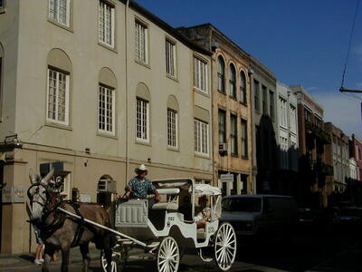 Photo: Horse and carriage