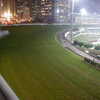 Next: Hong Kong Jockey Club