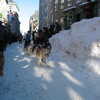 Previous: Dogsled race