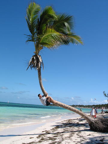 Gerald climbing a palm tree