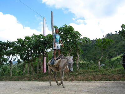 Photo: Boy on a donkey
