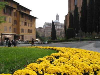 Photo: Siena, Italy