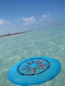 Photo: Frisbee in the water
