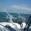Photo: (keyword sailing)