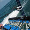 Photo: (keyword sailing)