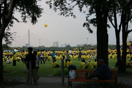 Photo: Crowd in yellow