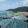 Next: Beach umbrellas