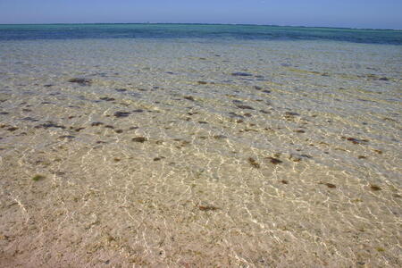 Photo: Clear water