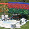 Next: Painting tulips