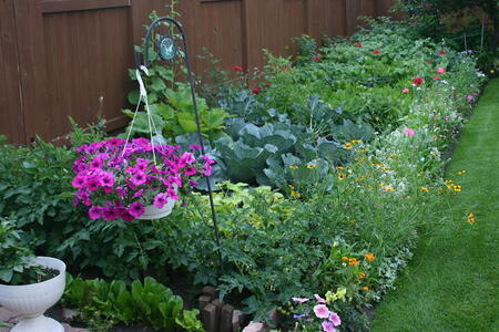 Photo: Back yard garden