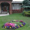 Previous: Front yard