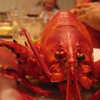 Next: Lobster