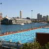 Previous: Andrew (Boy) Charlton Pool and Finger Wharf