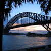 Previous: Harbour Bridge and palm trees