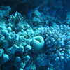 Previous: Great Barrier Reef