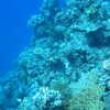 Next: Great Barrier Reef