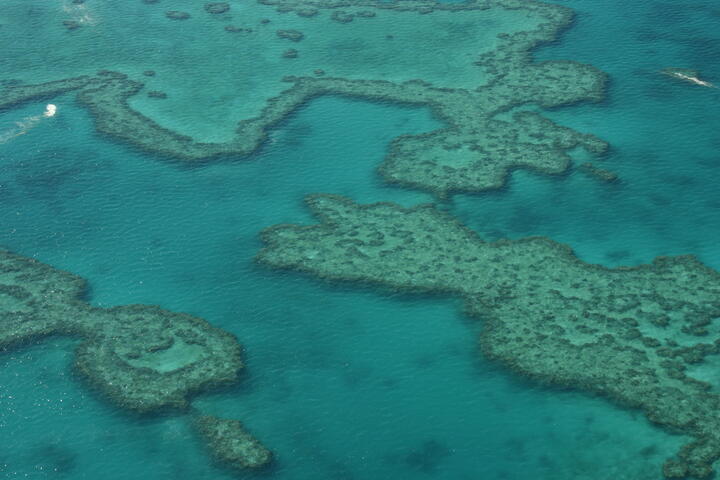 Reef from above