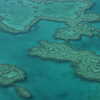Previous: Reef from above