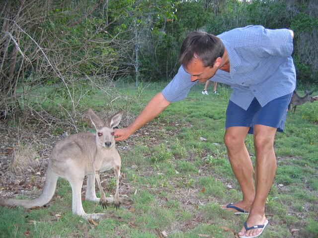 Ger with kangaroo