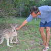 Next: Ger with kangaroo