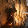 Previous: Capricorn Caves
