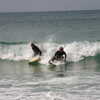 Photo: (keyword surfers)