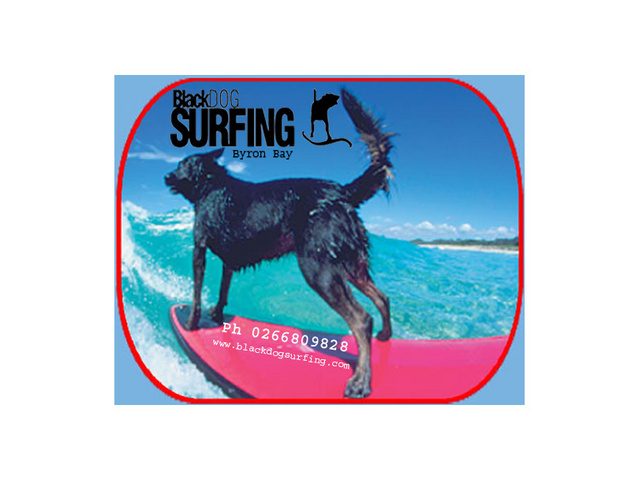 Black Dog Surfing