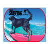 Previous: Black Dog Surfing