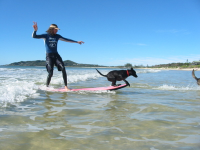 Photo: Surfing dog
