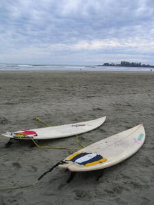 Photo: Surfboards