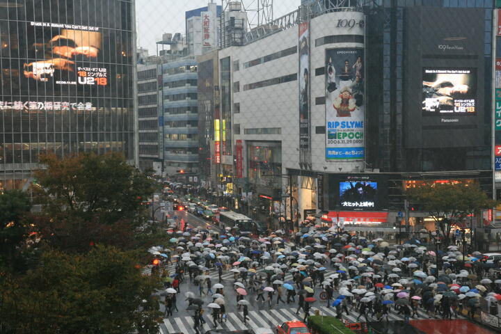 Shibuya in the rain