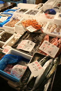 Photo: Various fish