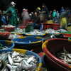 Next: Fish market