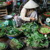 Photo: (keyword vietnam)