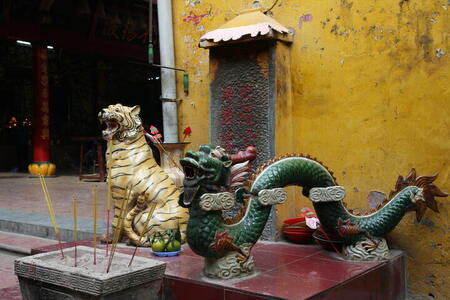 Photo: Tiger and dragon