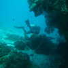 Next: Scuba diving