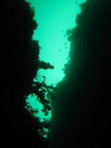 Photo: Scuba diving