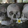 Photo: (keyword skulls)