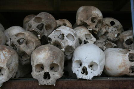 Photo: Skulls