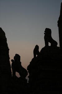 Photo: Lion statues