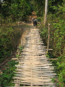 Photo: Bamboo bridge