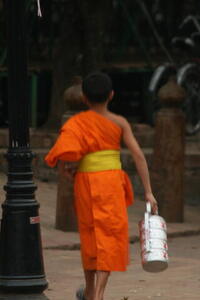 Photo: Young monk