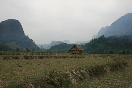 Photo: Dry rice paddies