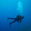 Next: Diver