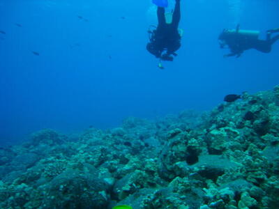 Photo: Divers and reef