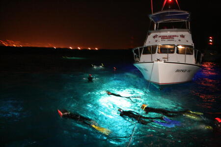 Photo: Night divers