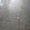 Next: Foggy trail