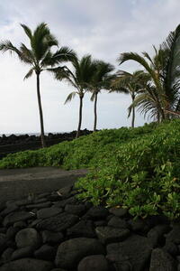 Photo: Hawaii