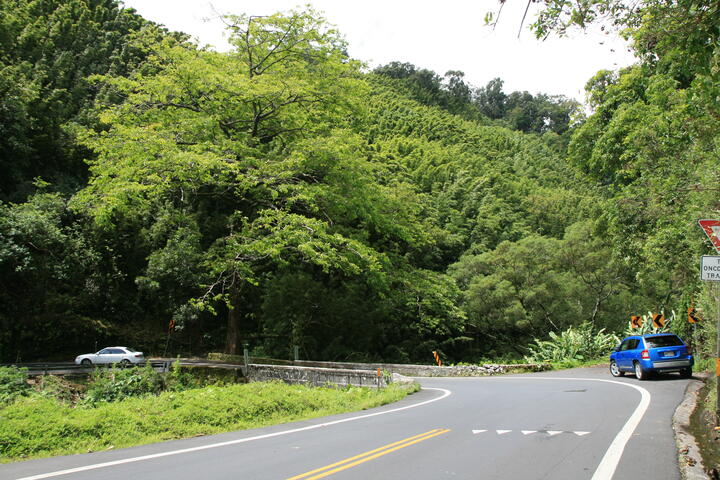 Hana Highway